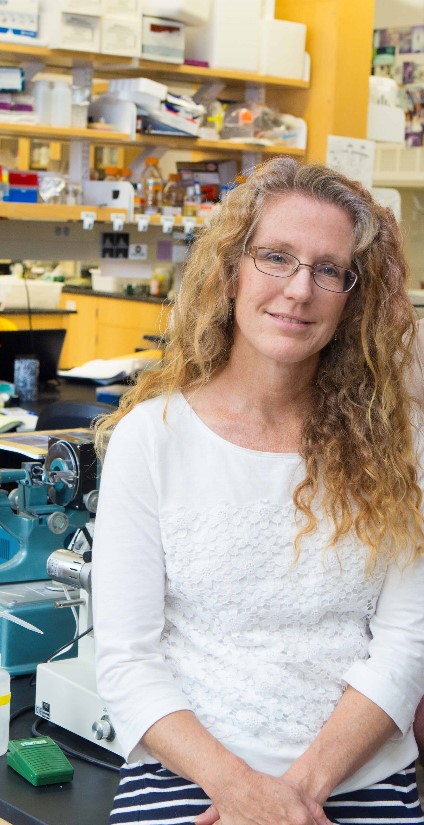 3 Tips for Success as a Grant Writer